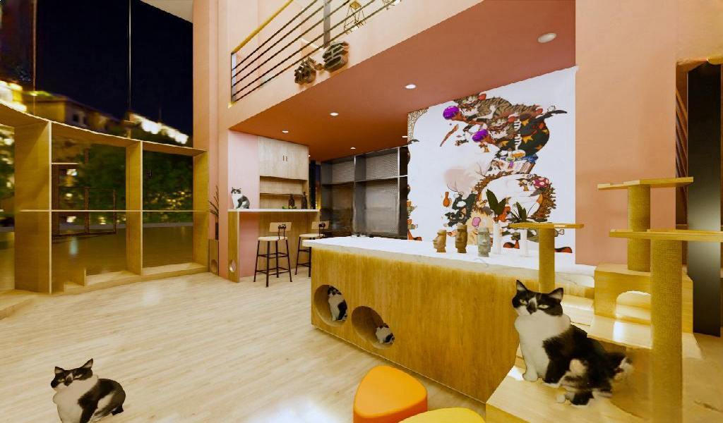 PHÒNG CHĂM SÓC THÚ